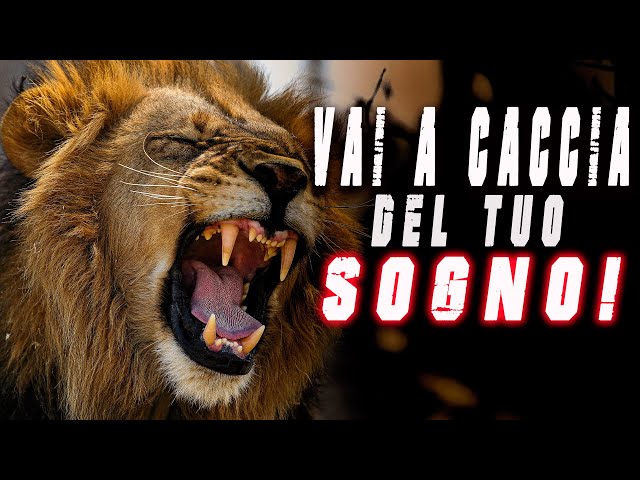 Realizza il tuo sogno! – Video Motivazionale