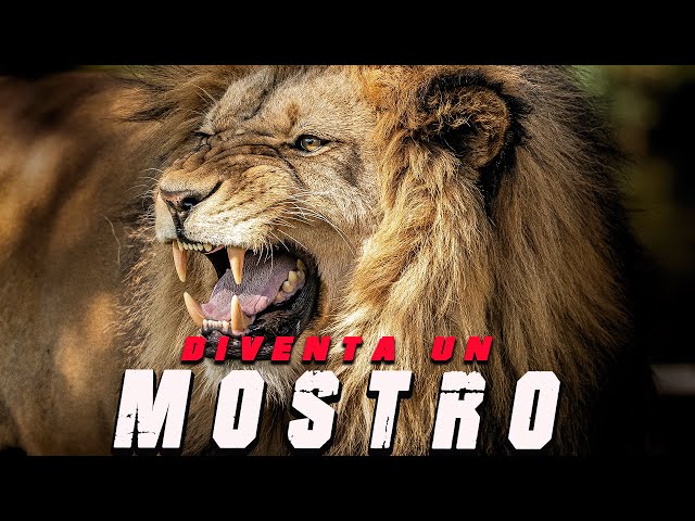 Diventa un mostro! – Video Motivazionale