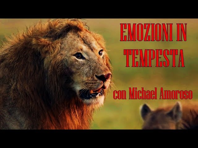 Emozioni in Tempesta – Video Motivazionale – con Michael.A LA MOTIVAZIONE